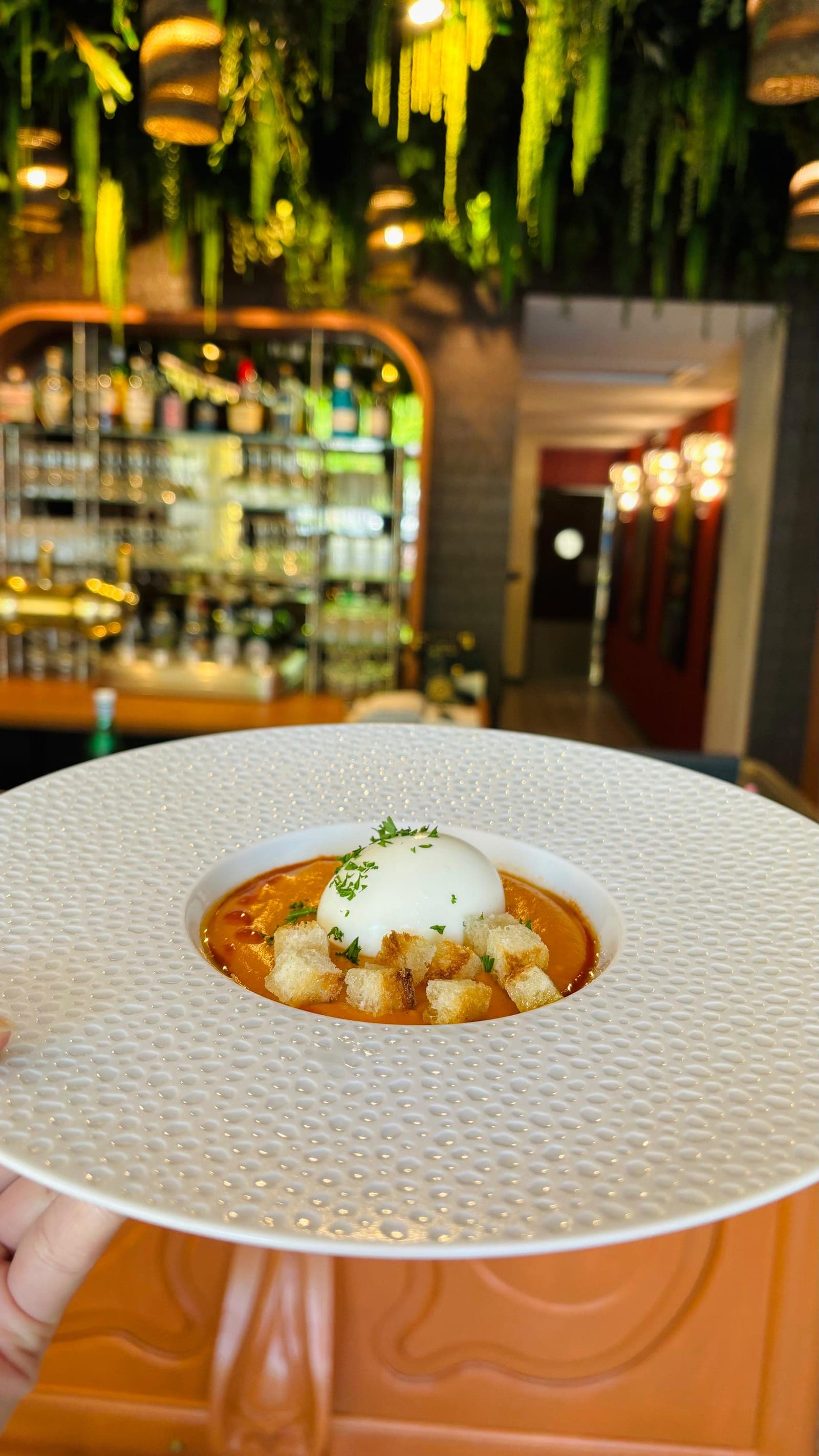 Velouté, œuf parfait and croutons